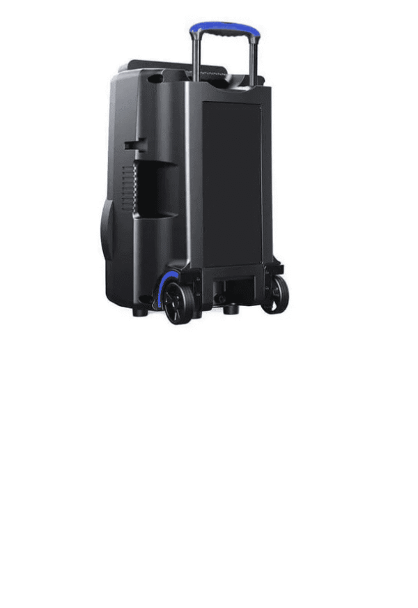 Caixa De Som Amplificada Sunny Ii 800w Sp396 - Image 4