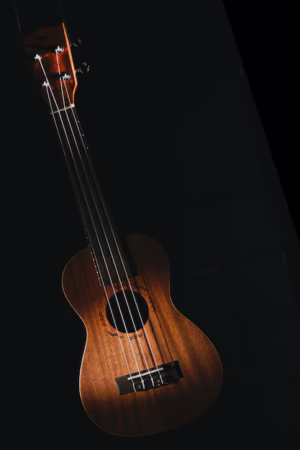 Ukulele